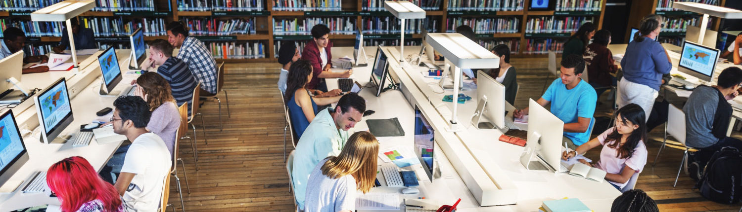 Library relocation company