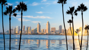 palm trees silhouette over the California pacific ocean with building skyline behind it 