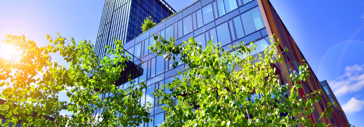 corporate building with windows and greenery around it with a blue sky