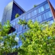 corporate building with windows and greenery around it with a blue sky